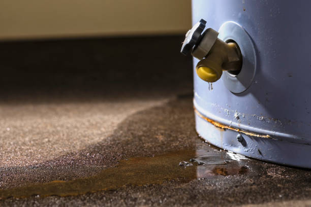 Water damage restoration mold remediation in Linden, TX