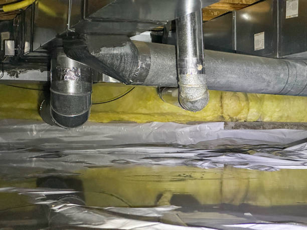  Linden, TX Water damage restoration Pros